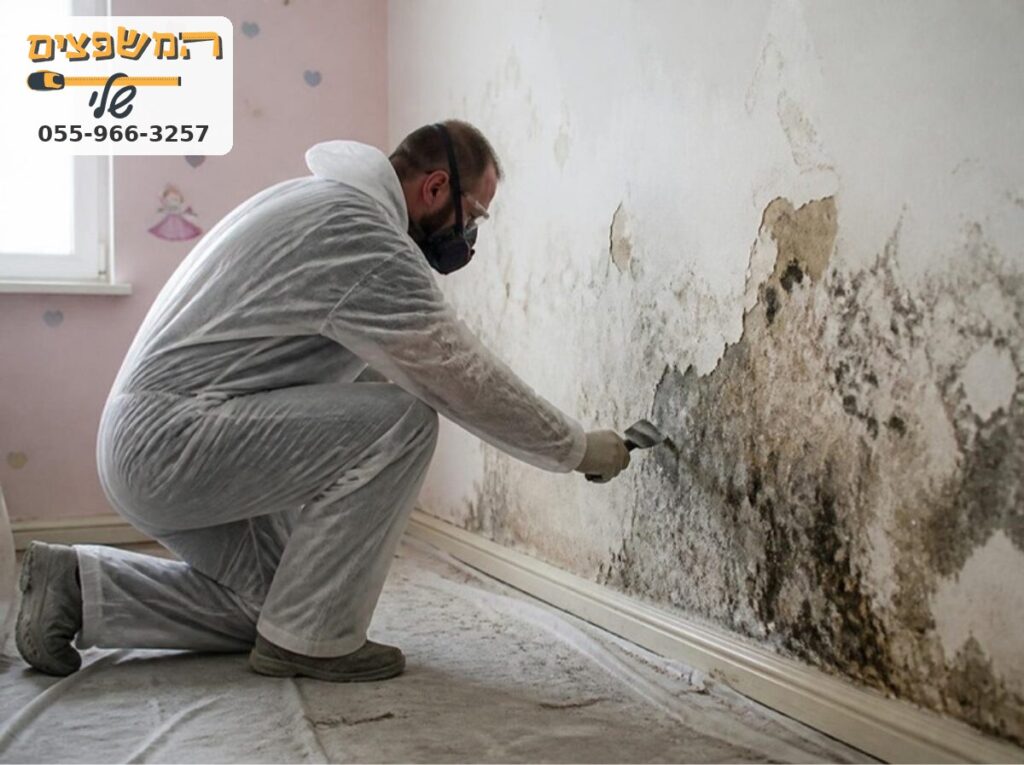 טיפול בעובש והסרת טיח פגוע בחדר ילדים