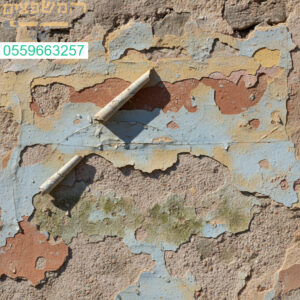 קילופי צבע חוזרים בכל חורף בגלל רטיבות בקיר סימן מובהק לנזק שדורש טיפול מקצועי