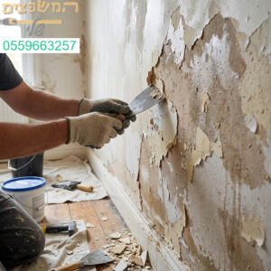 מומחיות בשיקום קירות מתקלפים מרטיבות קלה לתוצאה מושלמת